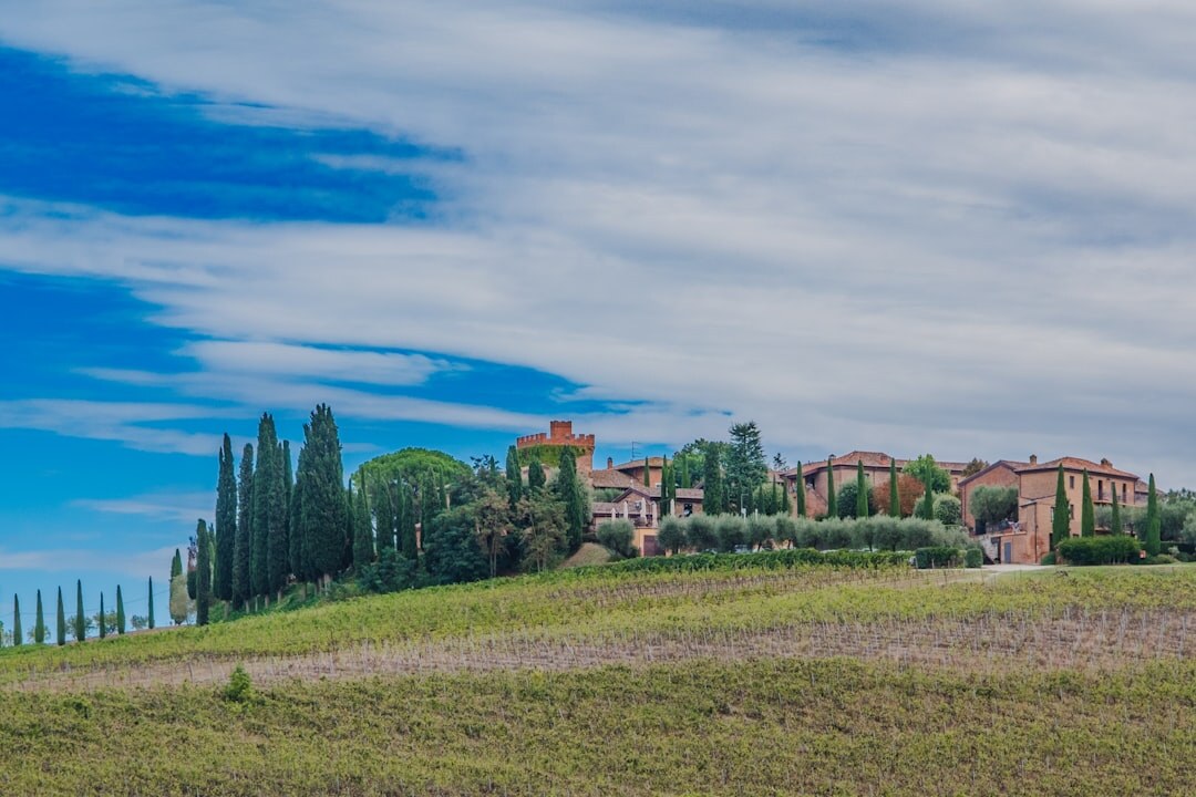 italian vineyard hills
