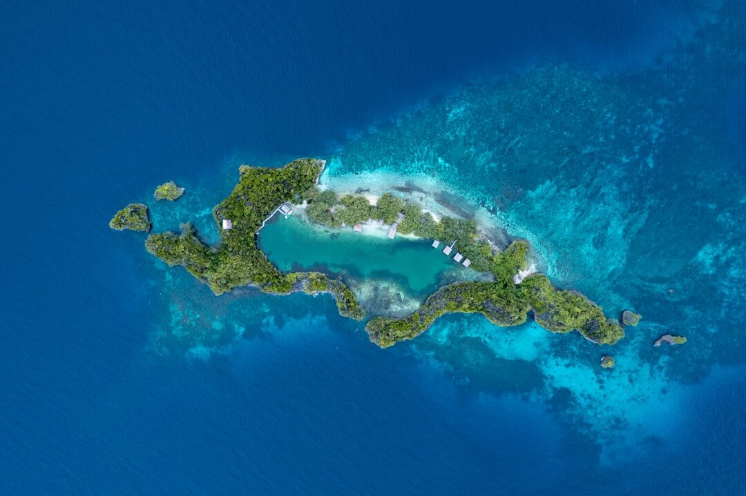 celebrity tropical island