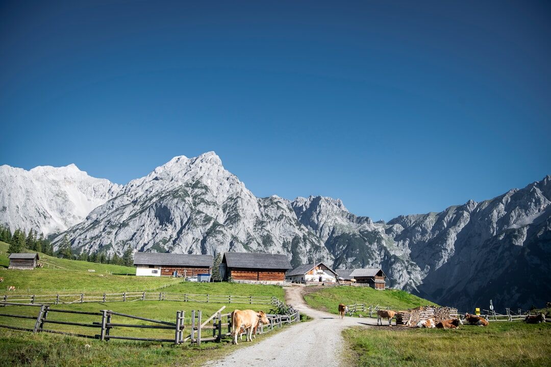 Elegante Restaurantterrasse mit Seeblick in der Schweiz